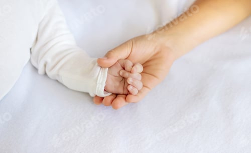 Tiny Infant Hand Held by Adult on White