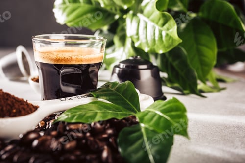 Preview: Coffee in glass cup