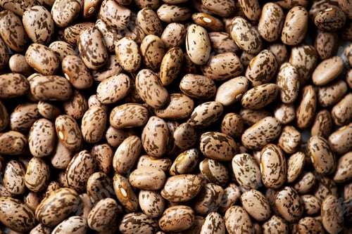 Preview: Closeup of roman bean product fresh