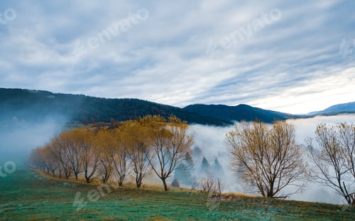Preview: Colorful trees in the Carpathian mountains covered with thick gray fog