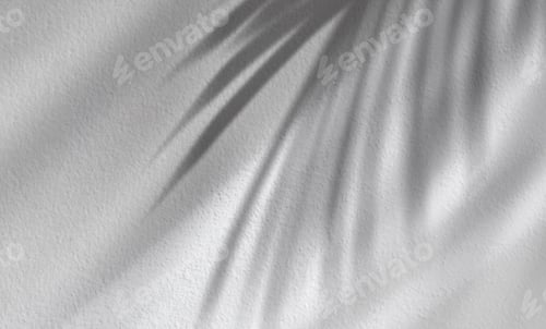 Preview: Concrete wall texture with coconut palm leaves shadow on cement floor, Studio background Display
