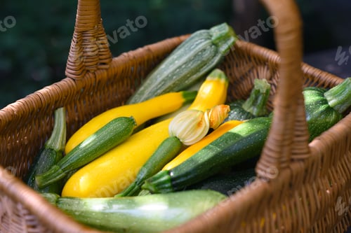 Preview: Close up of wicker basket filled with fresh different kind zucchini