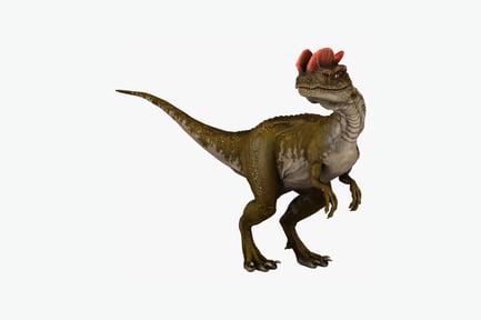 Preview: Velociraptor lateral view with scaled skin and head crest