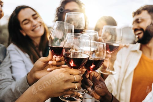 Preview: Young people toasting red wine glasses at farm house vineyard countryside