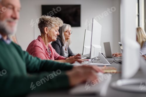 Preview: Group of senior people attending computer and technology education class