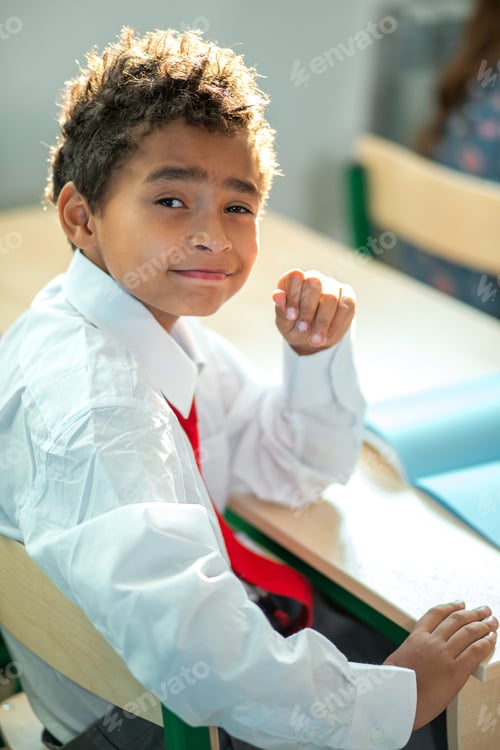 Preview: Portrait of African schoolboy sitting desk in class