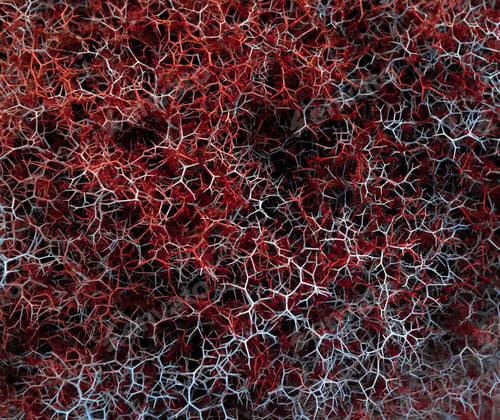 Preview: Top view of a red and white bush texture