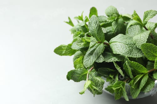 Preview: Bowl with fresh green mint on table. Space for text