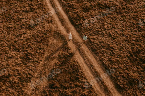 Vista previa: aerial view drone. husband and wife shadow go trampled path in middle field