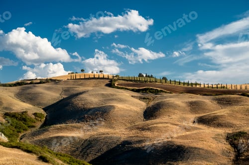 Preview: Summer landscape near Asciano