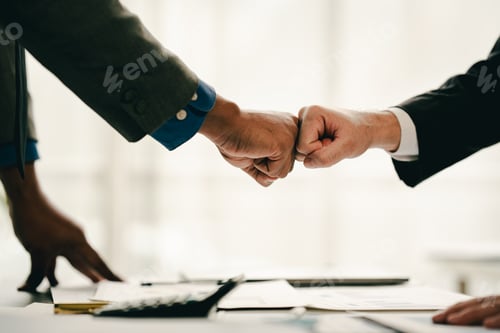 Preview: business partner handshake concept Colleagues shaking hands Successful deal after a great meeting