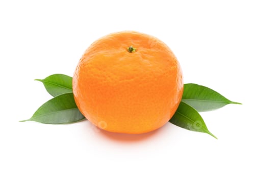 Preview: Orange on the isolated white background.