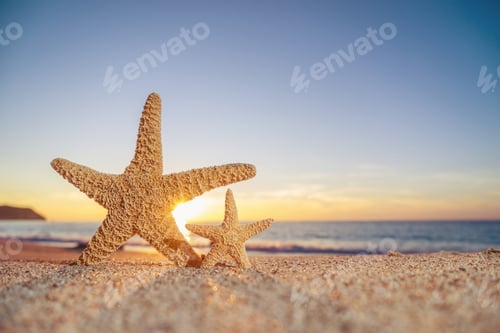 Preview: starfish on the beach at sunrise