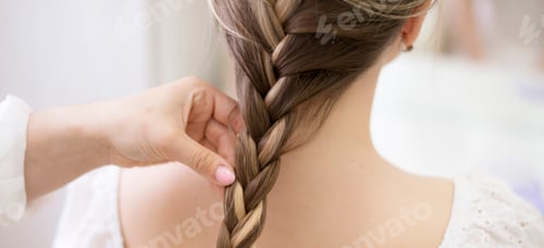 Preview: Braided Brown Hair Style with Blond Highlights