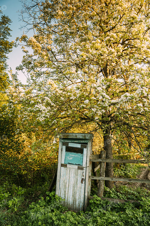 Preview: Cabin Of Old Wooden Country Toilet In Spring Day