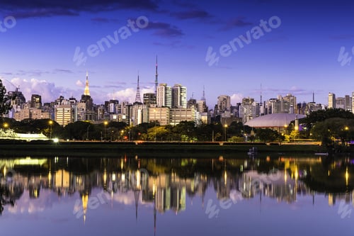 Preview: Sao Paulo Skyline From Ibirapuera Park In Sao Paulo, Brazil