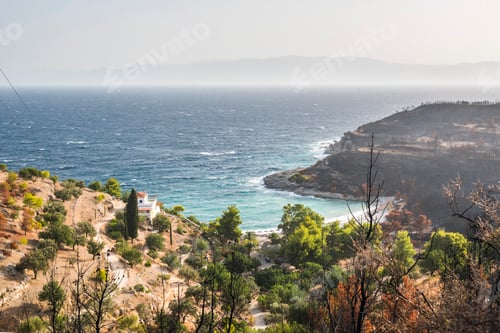 Preview: Wild fire damage, Spetses, Saronic Islands, Attica Region, Aegean Coast, Greece, Europe