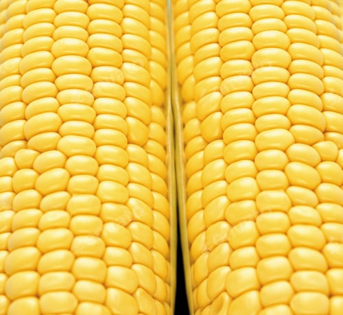 Preview: close-up corn