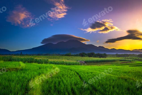 Preview: beautiful morning view from Indonesia of mountains and tropical forest