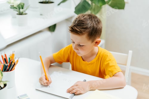 Preview: Distance learning online education. Caucasian smile kid boy studying at home with book, writing in