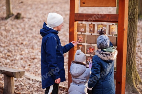Preview: Kids learn pictures with mushrooms in early spring forest.