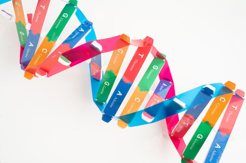 Preview: DNA or Deoxyribonucleic acid is a double helix chains structure formed by base pairs
