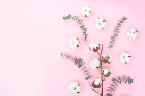 Preview: Tropical green leaves