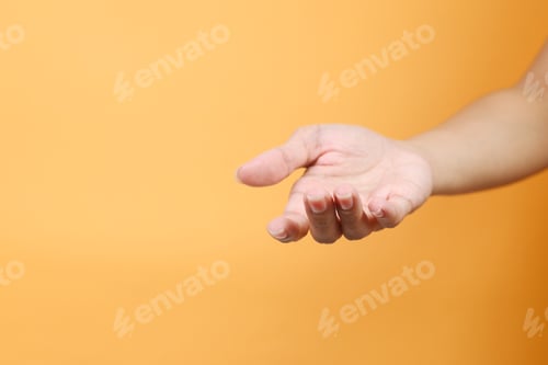 Preview: Offering Hand Gesture