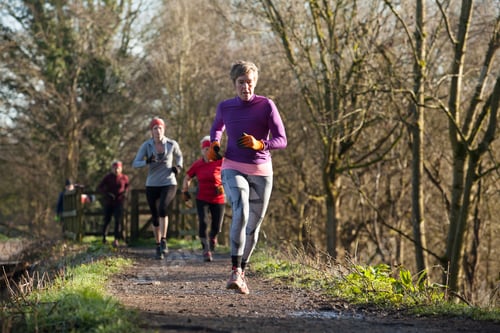 Vista previa: A group of runners jog along a sunny forest trail dressed in winter athletic wear,