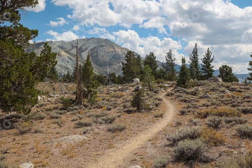 Preview: A single track hiking trail leads through the beautiful natural landscape of the Eastern Sierras