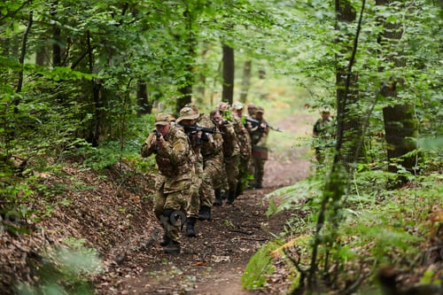 Preview: A disciplined and specialized military unit, donned in camouflage, strategically patrolling and
