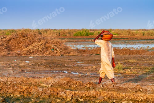 Preview: Farmer carrying a clay dish on his shoulder walking across a wet field with irrigation canal rows