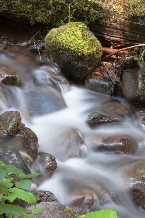 Preview: Water Flows Down Mossy Brook Wild Forest Stream Waterfall