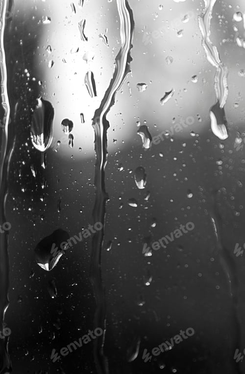 Preview: rain, raindrop, rainforest, raining