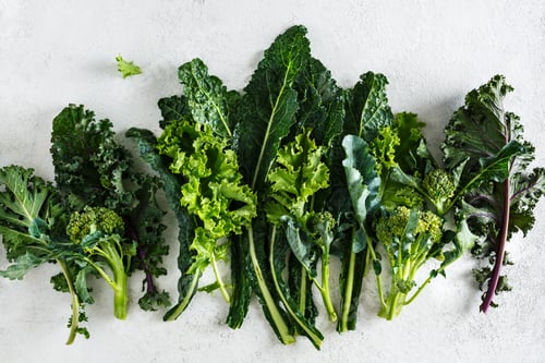 Preview: Fresh picked greens from the garden, collards, kale, broccoli
