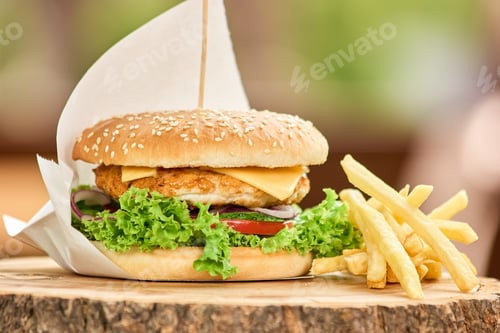 Preview: Appetizing burger with a few fries.