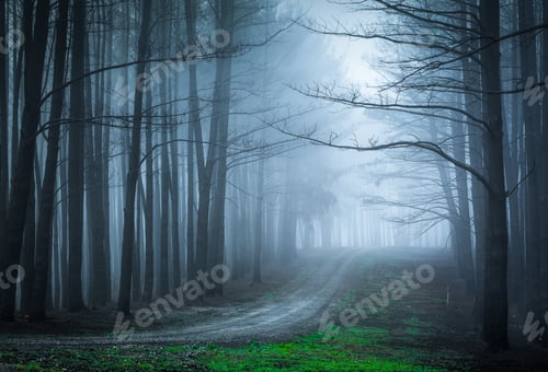 Preview: Forest Fear