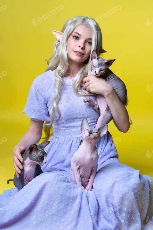 Preview: Cosplayer elf young woman in blue dress sitting on yellow background with three funny Sphinx kittens