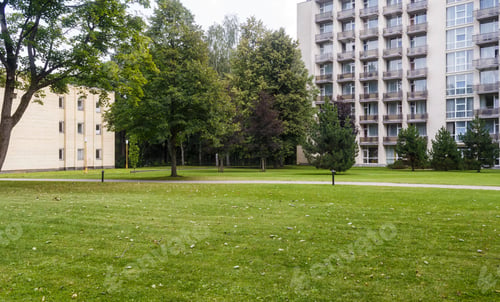 Preview: a green lawn with large trees