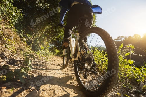 Preview: Cycling on sunrise forest trail