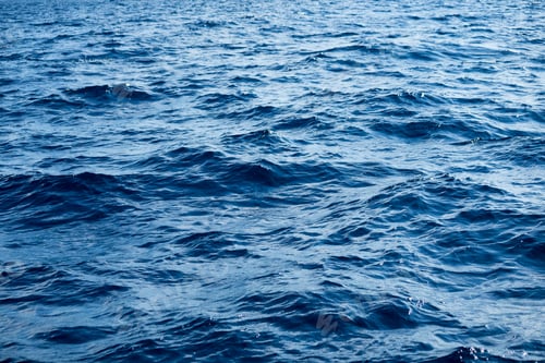 Preview: Tropical sea surface