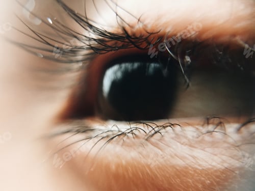 Preview: Macro photography of an eye