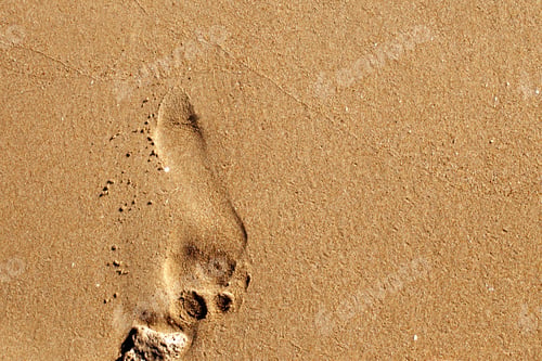 Preview: a human footsteps on a sandy beach. summer background