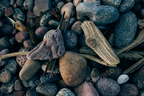Preview: Closeup shot of stones and wood elements at the beach of Baltic Sea, Lithuania
