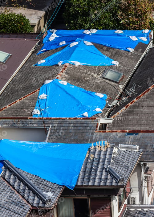Preview: Houses with Damaged Tiled Roof Covered with Blue Tarp