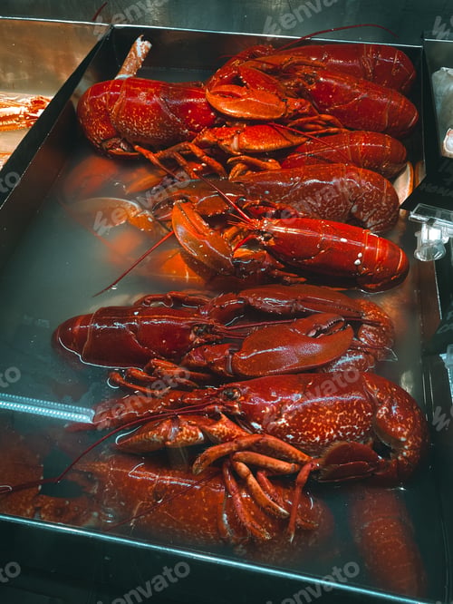 Preview: Lobsters
