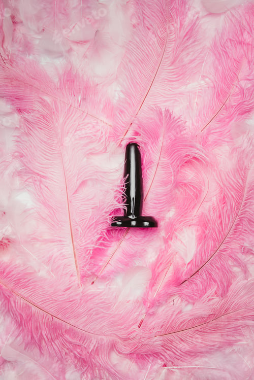 Preview: Black butt plug toy on pink feathers