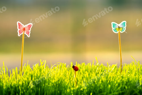 Preview: Small green grass with special cute toys small butterflies.