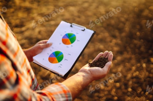 Preview: Expert hand of farmer checking soil health before growth a seed of vegetable or plant seedling.