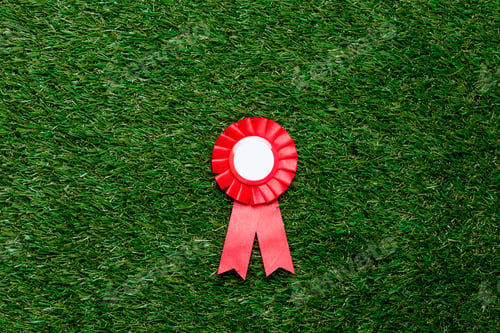 Preview: Little red winner award on green summer grass lawn